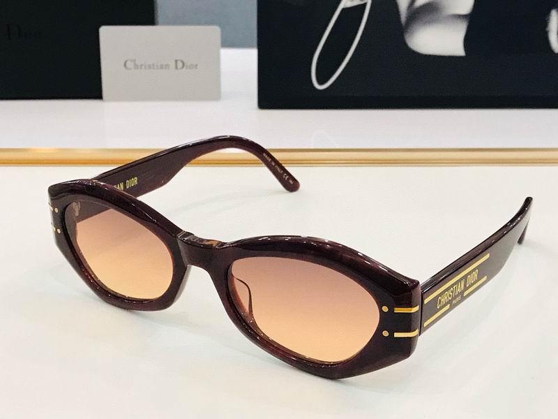 DIOR Sunglasses 424